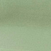 Top Faixa Basic - Verde Claro